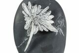 Polished Free-Standing Chrysanthemum Stone - China #352121-2